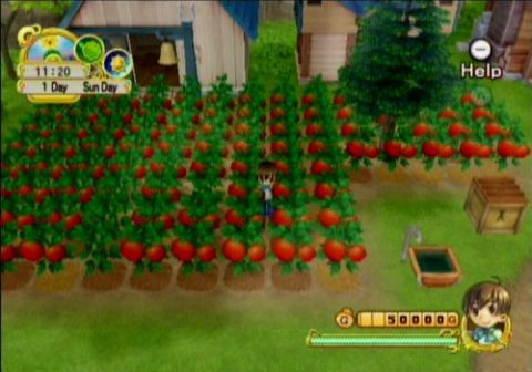 Wii Wad Harvest Moon My Little Shop Download Game